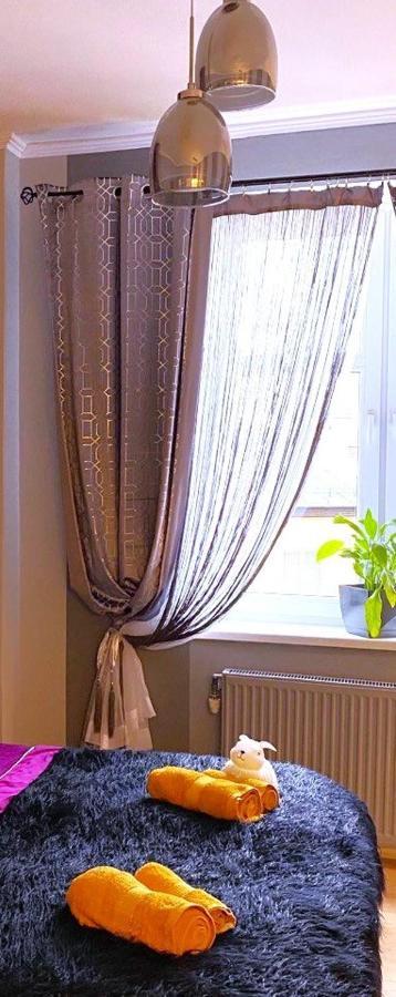 Silwer Проживання в сім'ї *